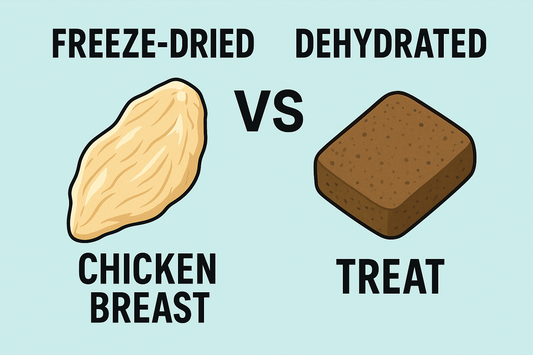 Illustration comparing freeze-dried and dehydrated pet treats, showing differences in texture, moisture, and nutrient retention
